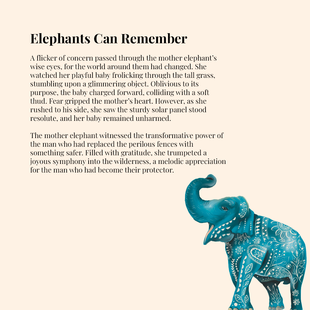 Elephants Can Remember - Pinewood Canvas