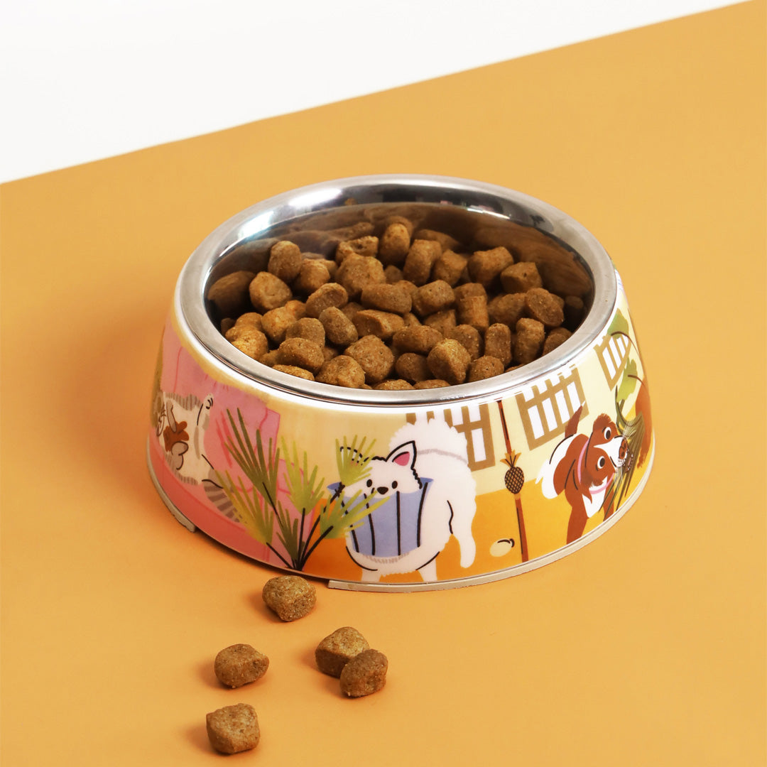 Joy & Mischief Pet Bowls | Set of 2 | 400 ml & 800 ml